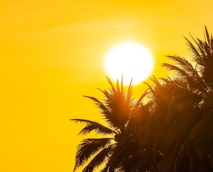 Understanding the UV Index and How to Stay Safe in the Sun