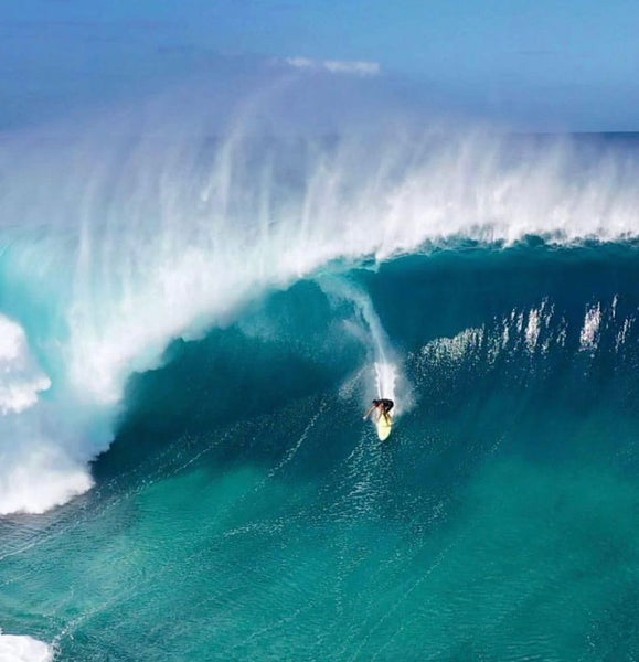Big wave swell at eddie competition