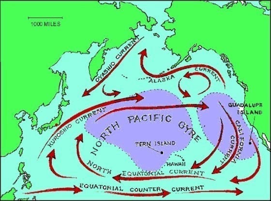 Какое течение в тихом океане. Морские течения. Карта течений. Морские течения Тихого океана. Карта морских течений.
