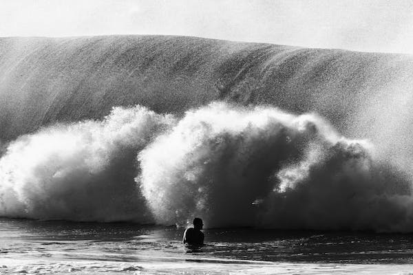 Big Wave Hawaii