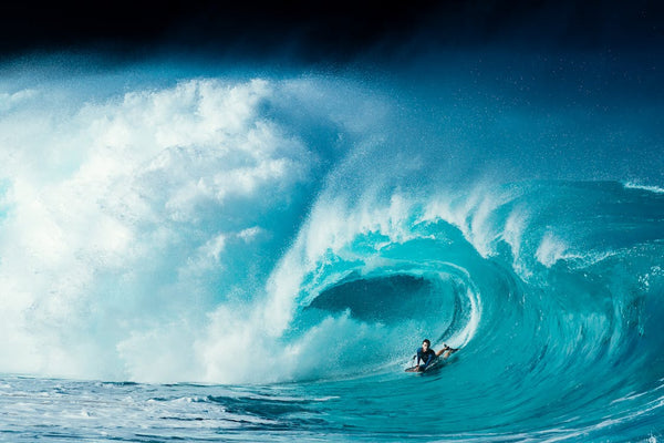 Large Wave Surfing