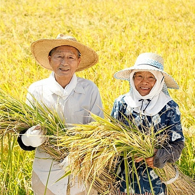 Japanese farmers