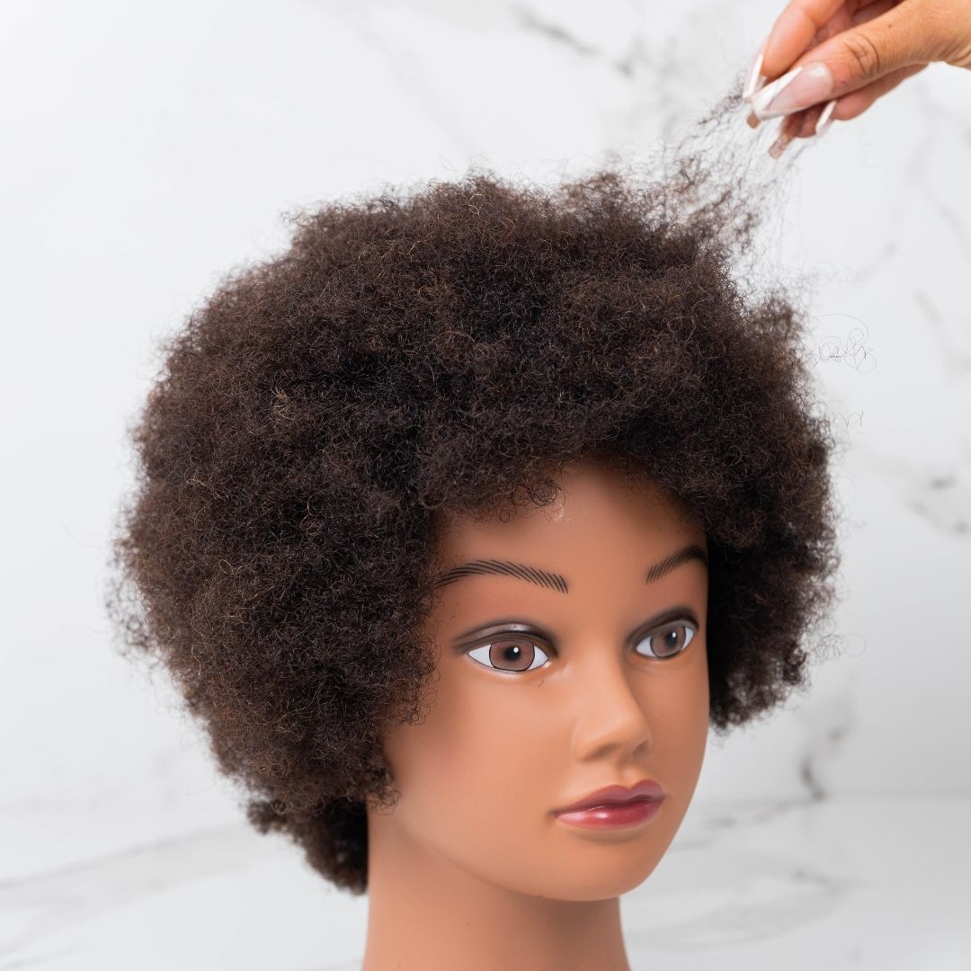 Curly Mannequin Head! 