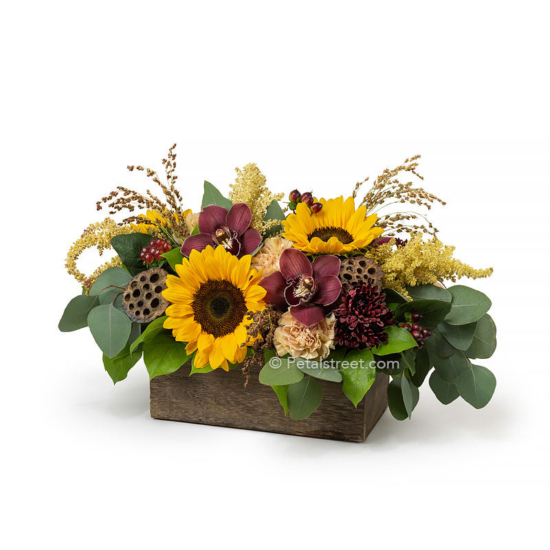 Bright Sunflowers With Rich Burgundy Orchids Fall Arrangement Petal Street Flower Company