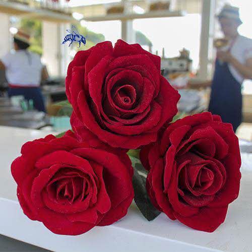 Rosa roja artificial a domicilio para enamorar - Beso Francés