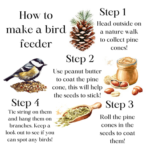 Make a bird feeder eyfs