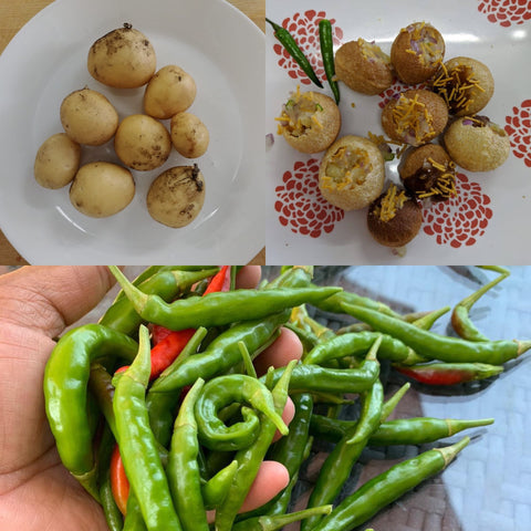 Panipuri, an Indian snack and a favourite dish at the RUN office, made with potatoes and chilis grown by RUN participants!