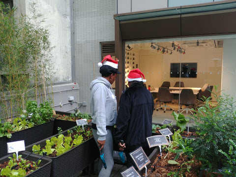 RUN participants tending to the garden at theDesk