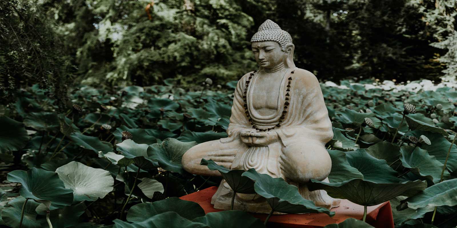 Buddha-Japan