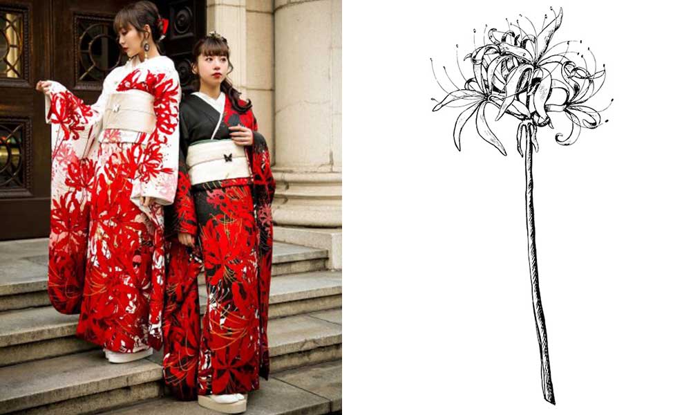 Deux femmes japonaises portent un kimono avec un motif Lycoris. C'est la fleur japonaise rouge appelé: Higanbana