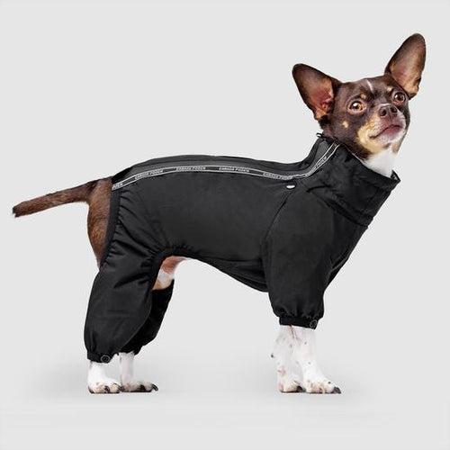 Slush Suits and Leggings to Protect Your Dog From Winter Weather