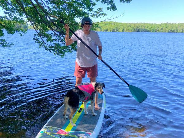 dog on paddleboard with person by edge of river