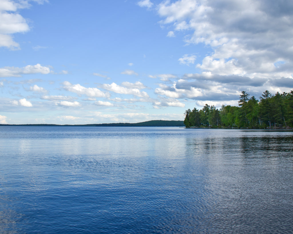 Schoodic Lake - water in foreground with treeline on the right side and clouds in the sky