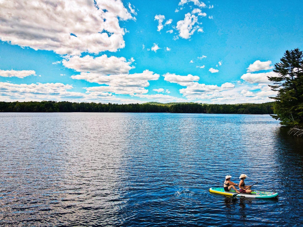 Two people paddle boarding on a river
