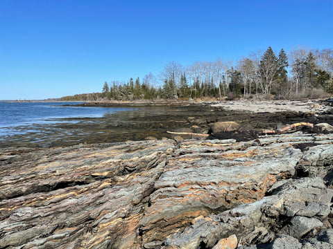 Isleboro Island, rocky foreground with coast and trees in the background