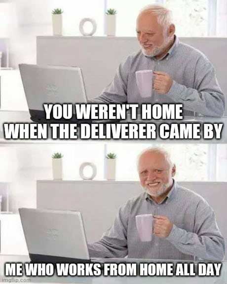 Harold delivery