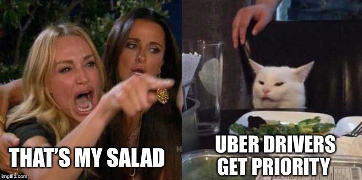 Smudge cat Uber