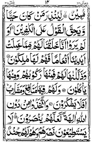 Surah Yaseen Page 14