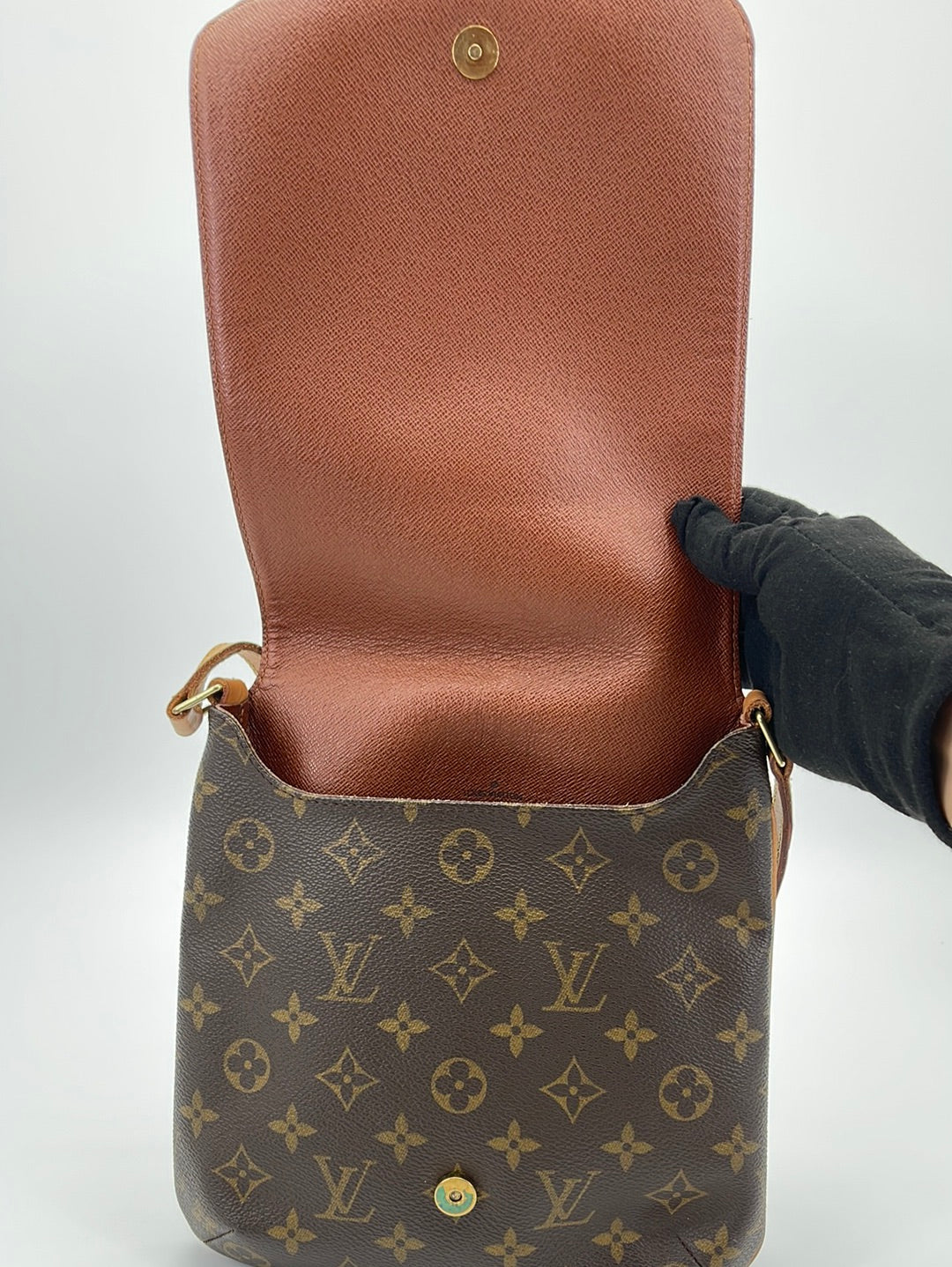 Louis Vuitton Monogram Musette Salsa PM Crossbody Entrupy