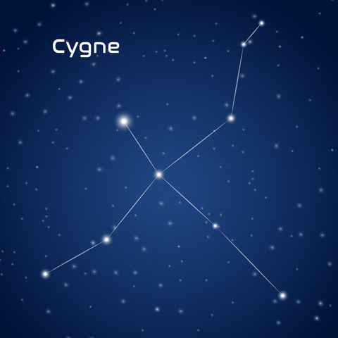 constellation du cygne