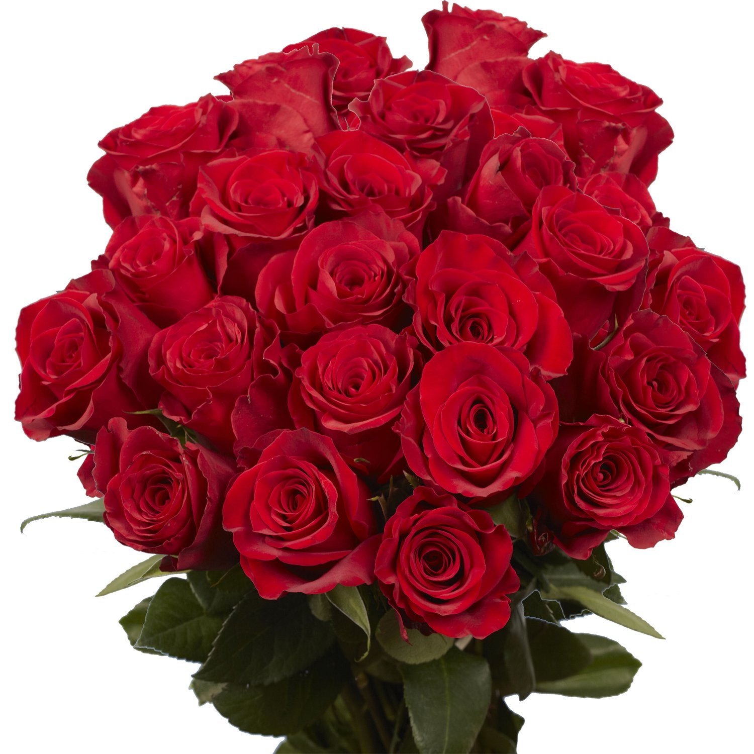 GlobalRose Red Roses- Express Flower Delivery- 50 Fresh Cut Stems ...