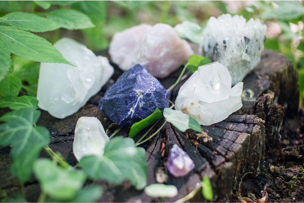 rose quartz and other crystals with plants