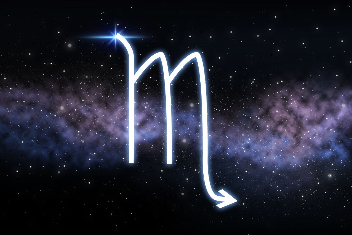Zodiac Sign Bracelet Constellation Astrology Symbol Month Birthday