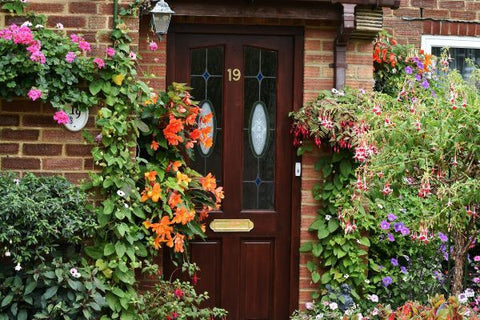 Front door surrounded by colourful flowers
