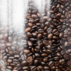 Steamed Coffee Beans