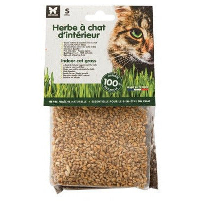 Spray herbe à chat - Du bonheur en bouteille