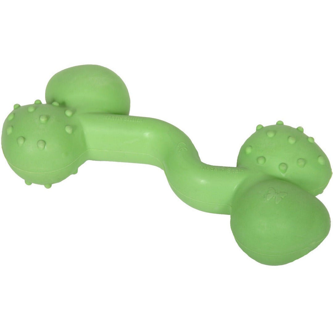 Bébé Teckel Fatigué Joue Et Grignote Un Jouet En Silicone Pour Se Gratter  Les Dents Et Ne Pas Gâcher Les Meubles De La Nouvelle Maison. Accessoires  Spéciaux Pour La Croissance Des Crocs