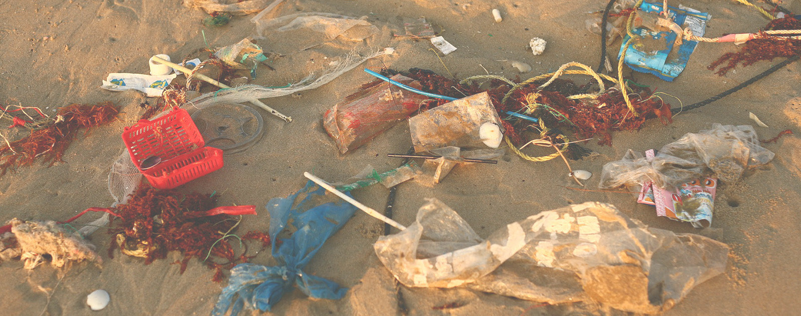 Production de plastique et pollution des océans