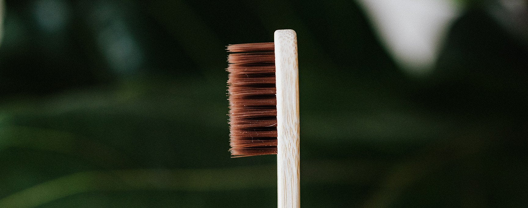 1. Lorsque vous recevez votre brosse à dents en bambou pour la première fois, recyclez l'emballage