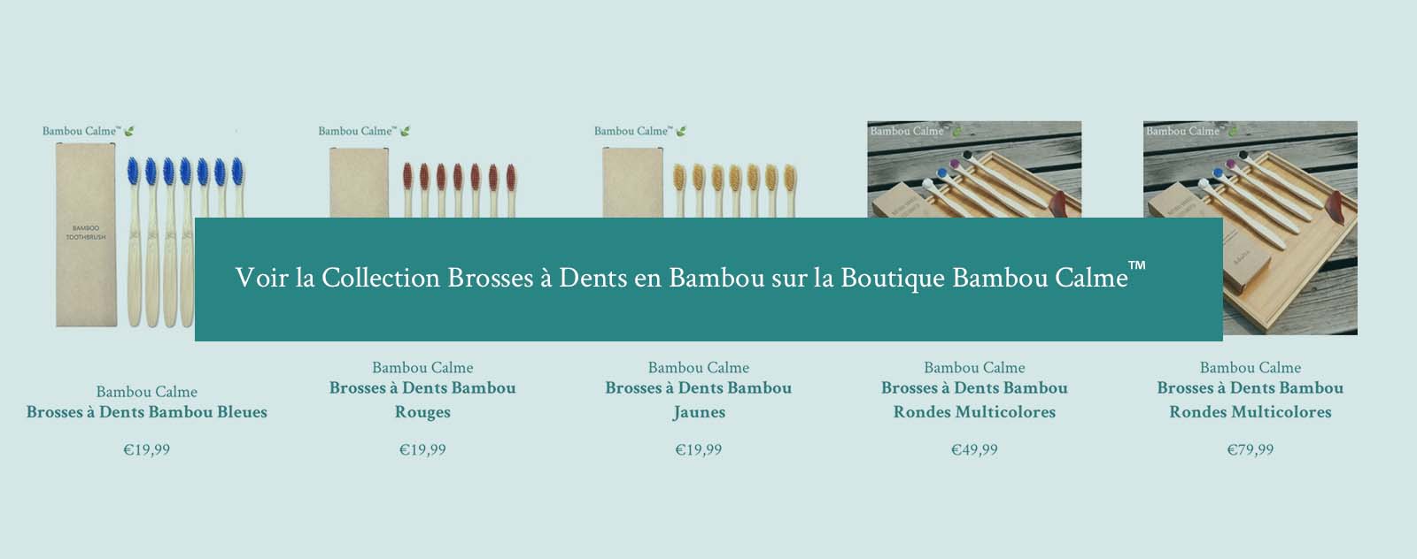 Collection Brosse à Dents en Bambou