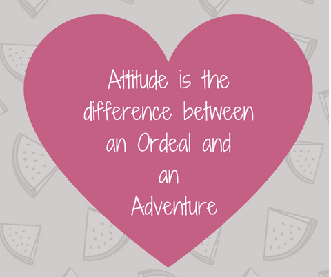 Attitude is the difference between an ordeal and an adventure