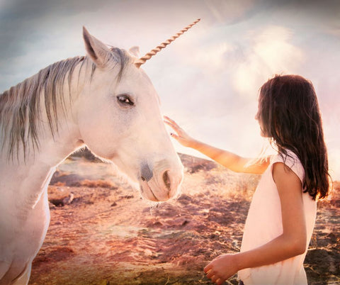 girl petting a unicorn