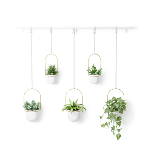 Hanging Planters | color: White/Brass