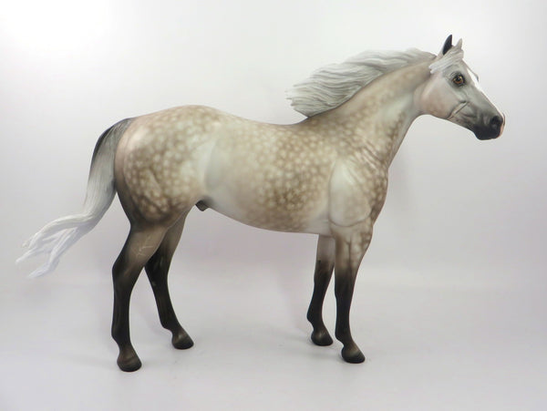 DARLING-OOAK STAR DAPPLE GREY ISH BY SHERYL LEISURE 12/2719 - Stone Horses