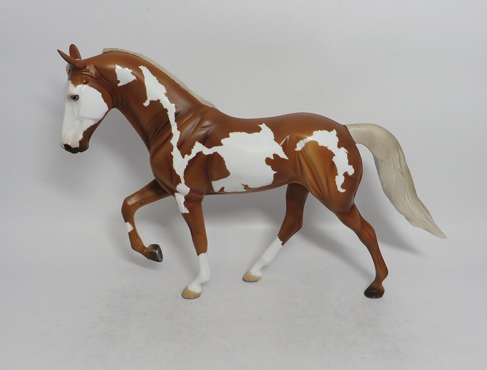 chimeric paint horse