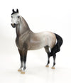 ROCKY - Dappled Rose Grey Morgan Model Horse - LE9 - EQ 2015 - 7/23