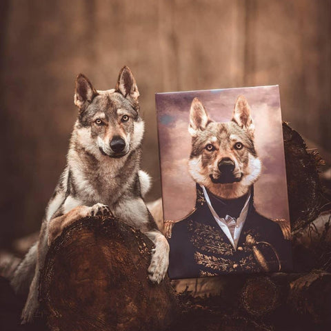Retrato de mascota de un husky en uniforme