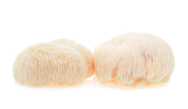 2 Lion's Mane Mushrooms