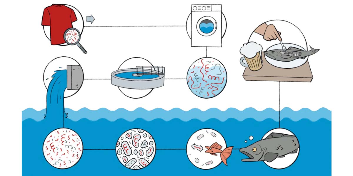 Life cycle graphic showing the impact of microplastics on the ocean and species