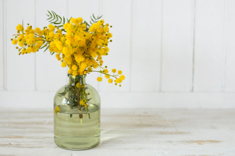 Goldenrod flowers in a vase