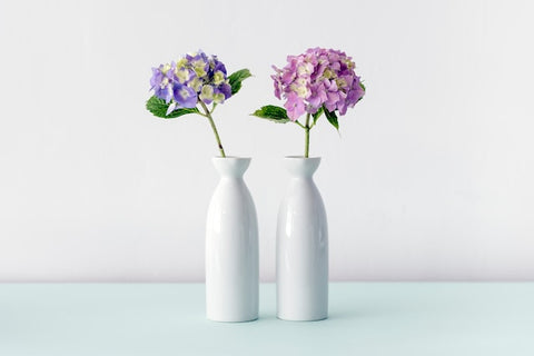 one purple and one pink hydrangea in separate white vases