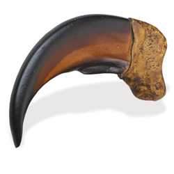 Cast Resin Eagle Claw — Tandy Leather Canada
