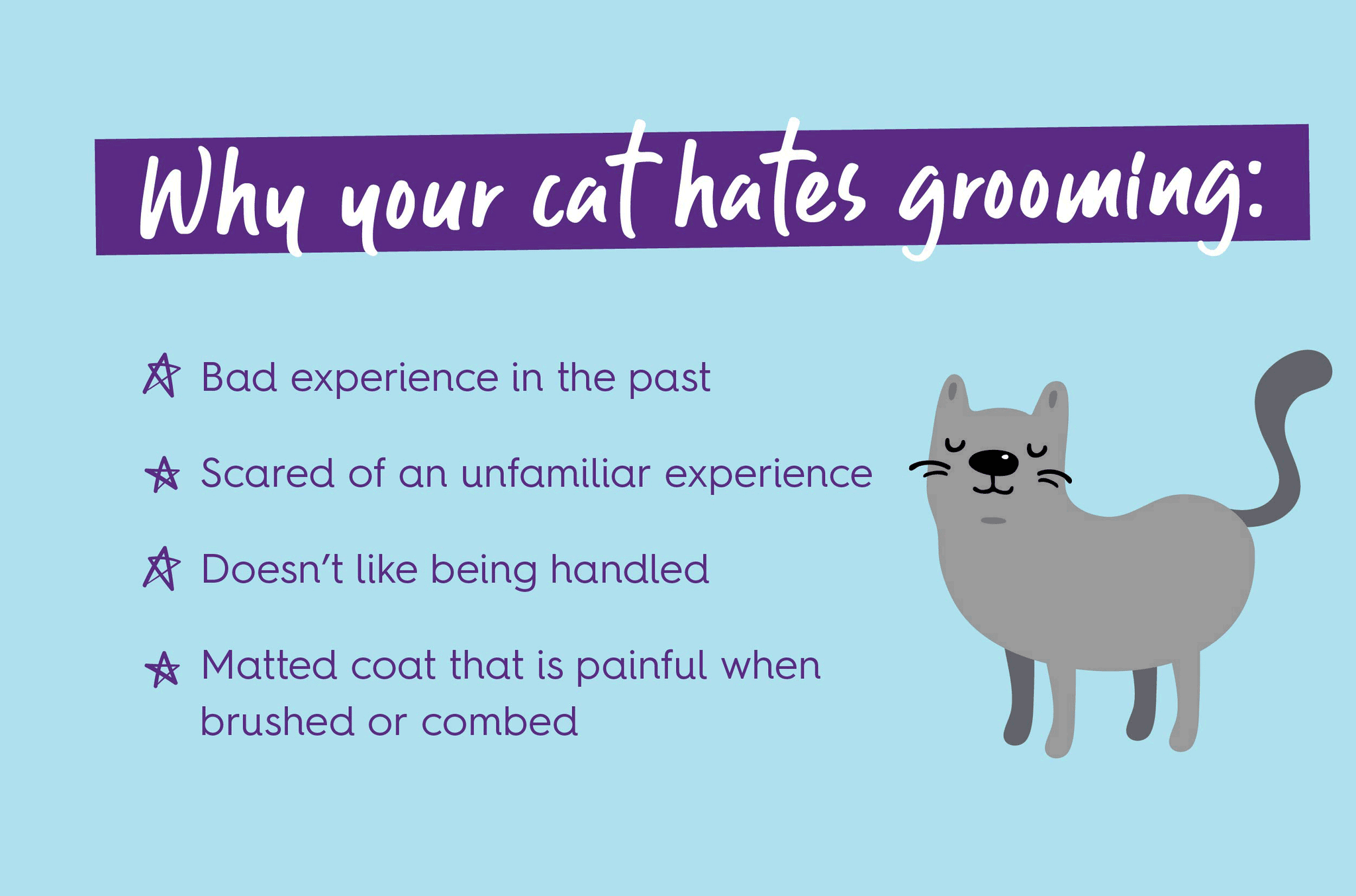 Why your cat hates grooming