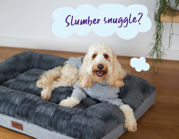 dog looking cosy in grey dog pyjamas in dog bed