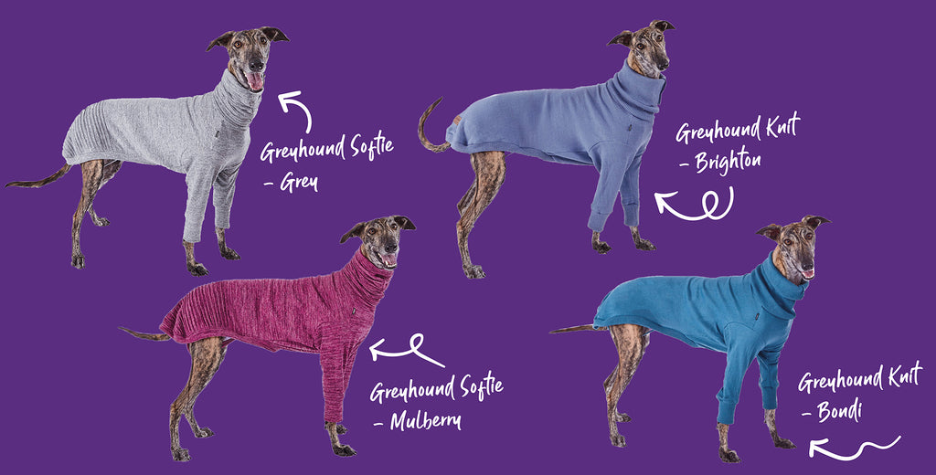 Kazoo greyhound jumper range