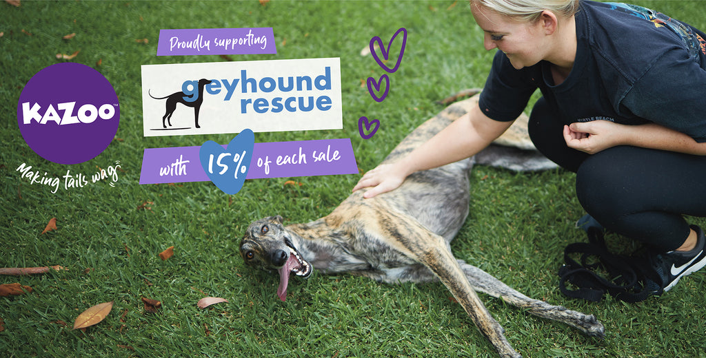 Kazoo greyhound rescue